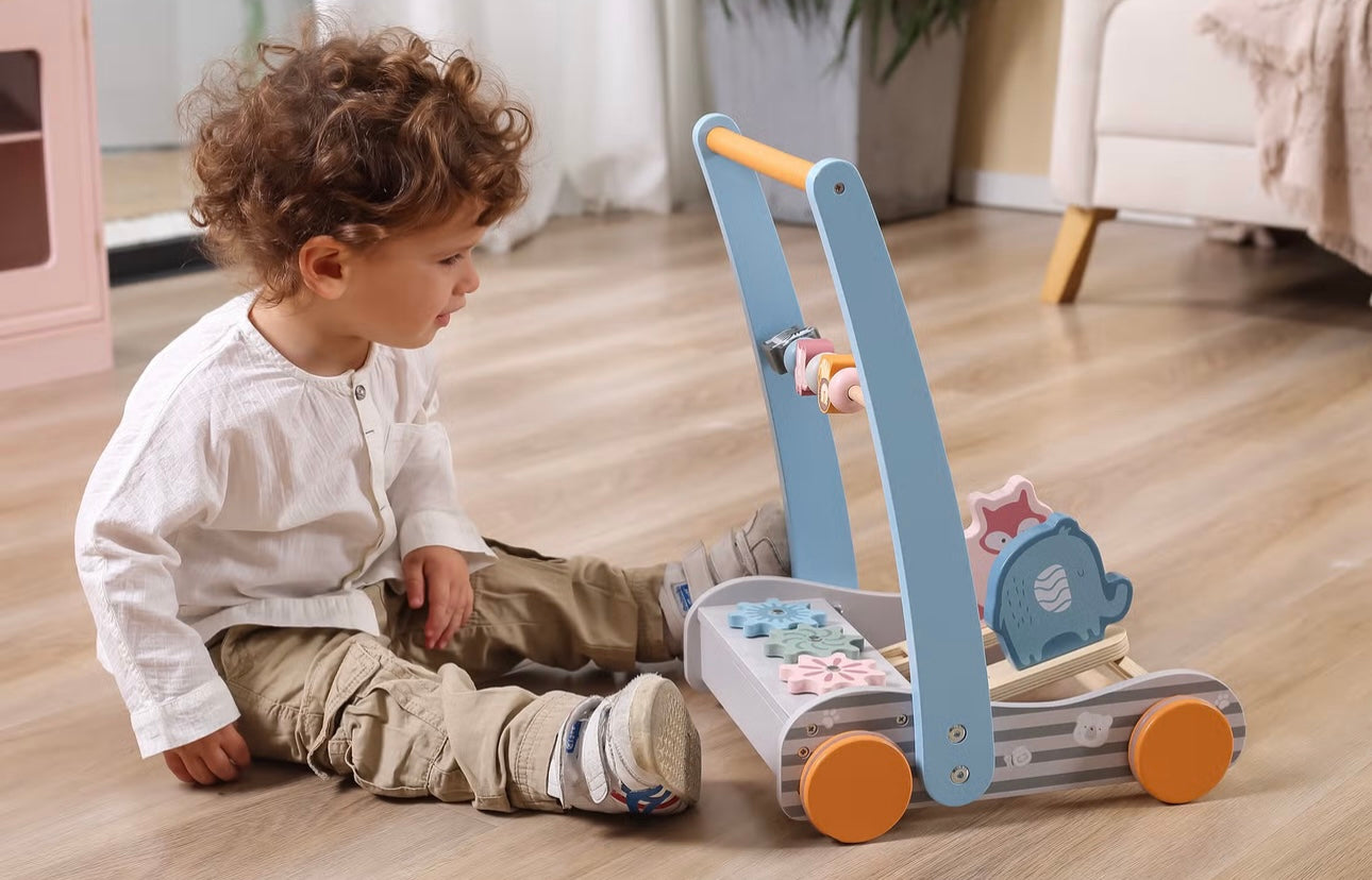 Animal Friends Baby Walker Shop Nilsa Prowant